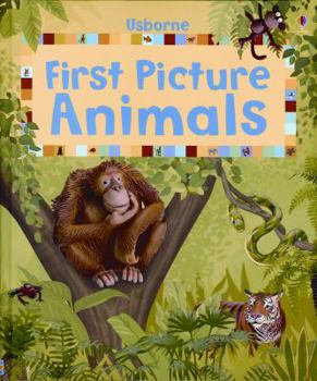Board book First Picture Animals Book