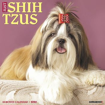 Calendar Just Shih Tzus 2020 Wall Calendar (Dog Breed Calendar) Book