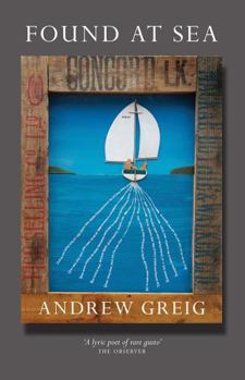 Paperback Found at Sea Book