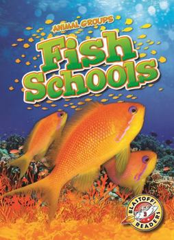 Fish Schools (Animal Groups)