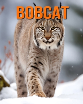 Bobcat: Fun and Fascinating Facts and Pictures About Bobcat