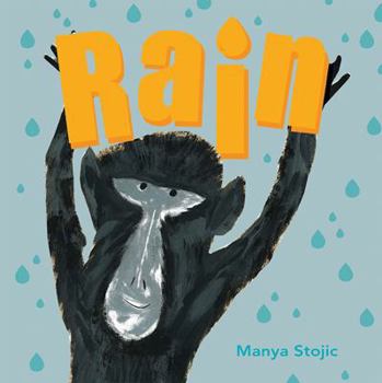 Paperback Rain Book
