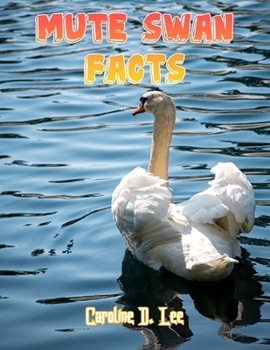 Mute Swan Facts: Mute swan fact for girl age 1-10 Mute swan fact for boy age 1-10 where do swans live is a swan a bird