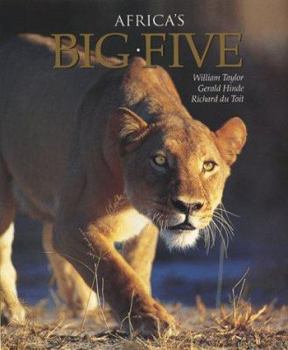 Hardcover Africa's Big Five Book