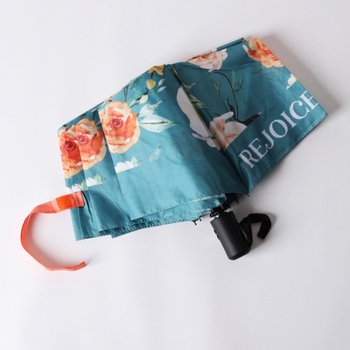 Umbrella Compact Rejoice Always