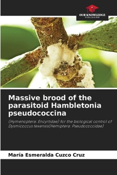 Paperback Massive brood of the parasitoid Hambletonia pseudococcina Book