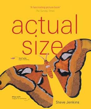 Hardcover Actual Size Book