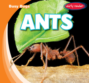 Paperback Ants Book