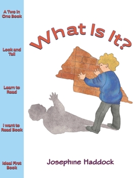 Paperback What Is It? Book