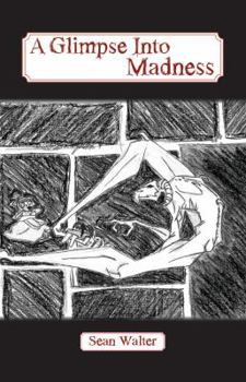 Paperback A Glimpse Into Madness Book
