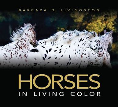 Hardcover Horses: In Living Color Book