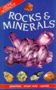 Paperback Rocks & Minerals Book