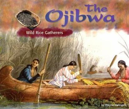 Library Binding The Ojibwa: Wild Rice Gatherers Book