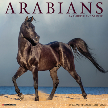 Calendar Arabians 2025 12 X 12 Wall Calendar Book