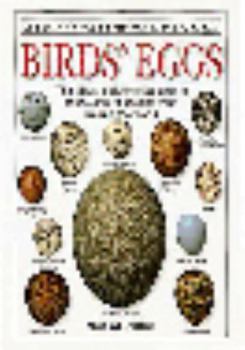 Hardcover Birds' Eggs (Eyewitness Handbooks) Book