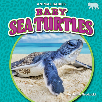 Library Binding Baby Sea Turtles Book