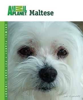 Maltese (Animal Planet Pet Care Library) - Book  of the Animal Planet Pet Care Library