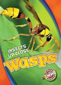 Wasps - Book  of the Insects Up Close