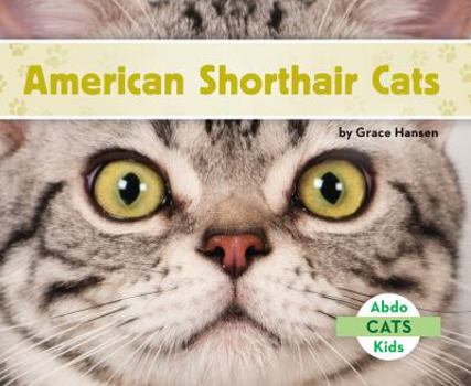 American Shorthair Cats - Book  of the Gatos / Cats