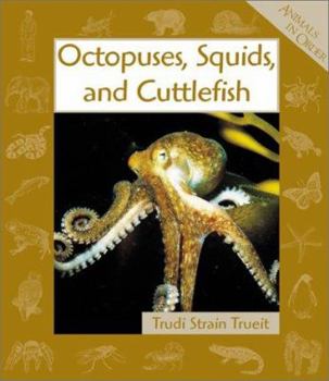Paperback Octopuses, Squids, and Cuttlefish Book