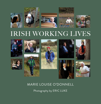 Hardcover Irish Working Lives Book