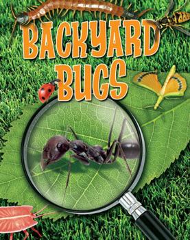 Backyard Bugs - Book  of the Crabtree Connections