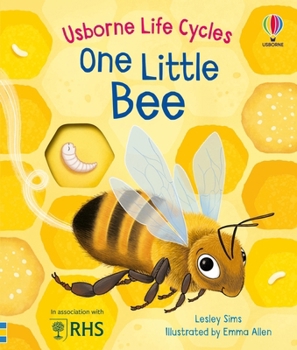 Board book One Little Bee Book