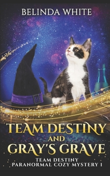 Team Destiny and Gray's Grave - Book #1 of the Team Destiny