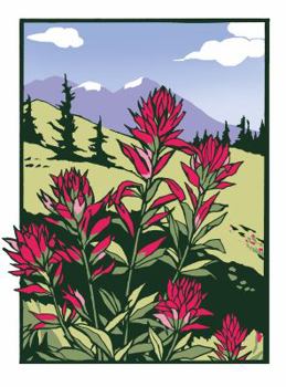 Cards Indian Paintbrush (Boxed): Boxed Set of 6 Cards Book