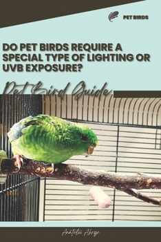 Do pet birds require a special type of lighting or UVB exposure?: Pet bird guide
