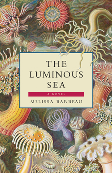 Paperback The Luminous Sea Book
