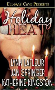 Paperback Holiday Heat Book
