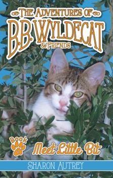 The Adventures of B.B. Wyldecat & Friends: Book 2: Meet Little Bit