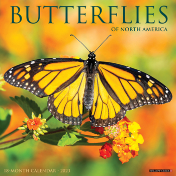 Calendar Butterflies 2023 Wall Calendar Book
