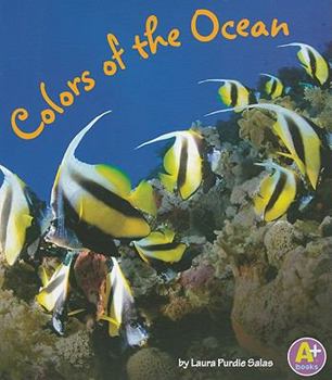 Colors of the Ocean - Book  of the Colors All Around