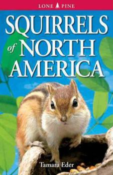 Paperback Squirrels of North America Book