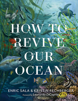 Hardcover How to Revive Our Ocean Book