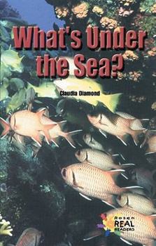 Paperback Whats Under the Sea Book