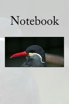 Paperback Notebook: Inca Tern Book