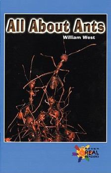 Paperback All about Ants Book