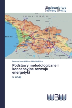 Paperback Podstawy metodologiczne i koncepcyjne rozwoju energetyki [Polish] Book