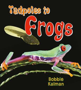 Paperback Tadpoles to Frogs Book
