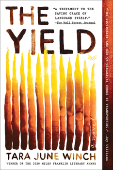 Paperback The Yield Book