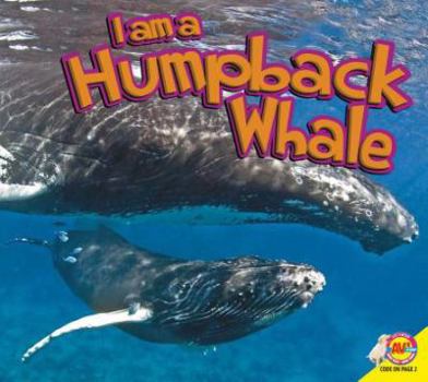 Paperback I Am a Humpback Whale Book