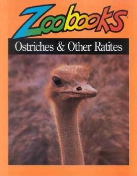 Paperback Ostriches Book