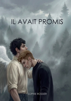 Paperback Il avait promis [French] Book