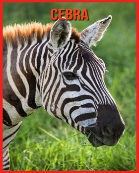 Cebra: Im�genes incre�bles y datos curiosos sobre los Cebra