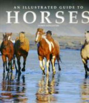 Hardcover Illustrated Guide to Horses Book