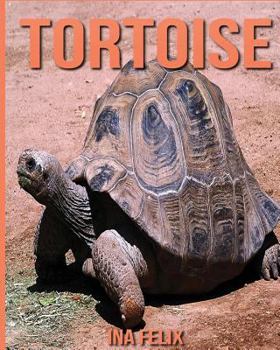 Paperback Tortoise: Children Book of Fun Facts & Amazing Photos on Animals in Nature - A Wonderful Tortoise Book for Kids aged 3-7 Book