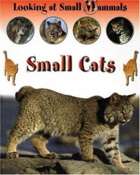 Hardcover Small Cats (Looking at Small Mammals) Book